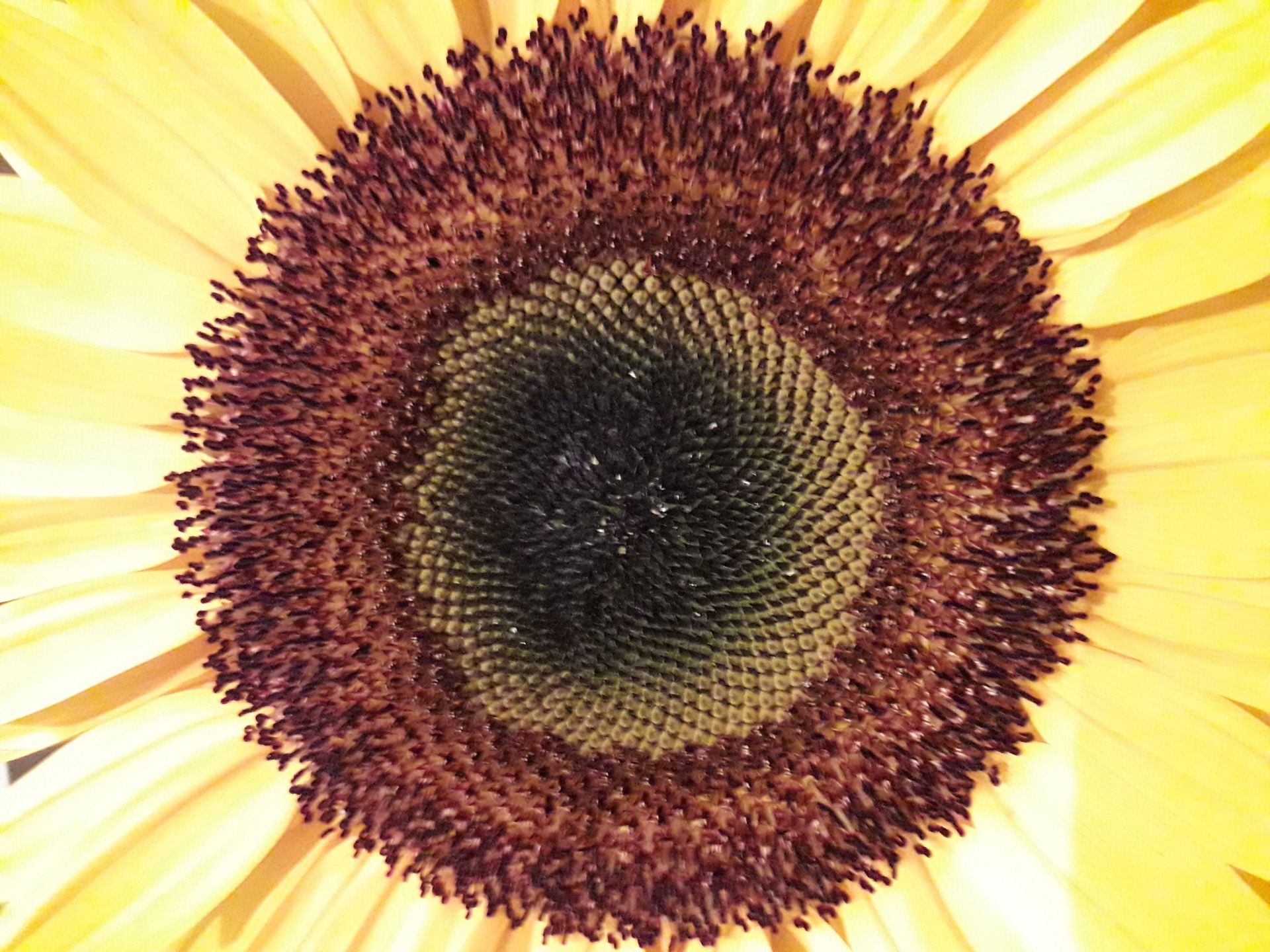 20190909_200850-compressor