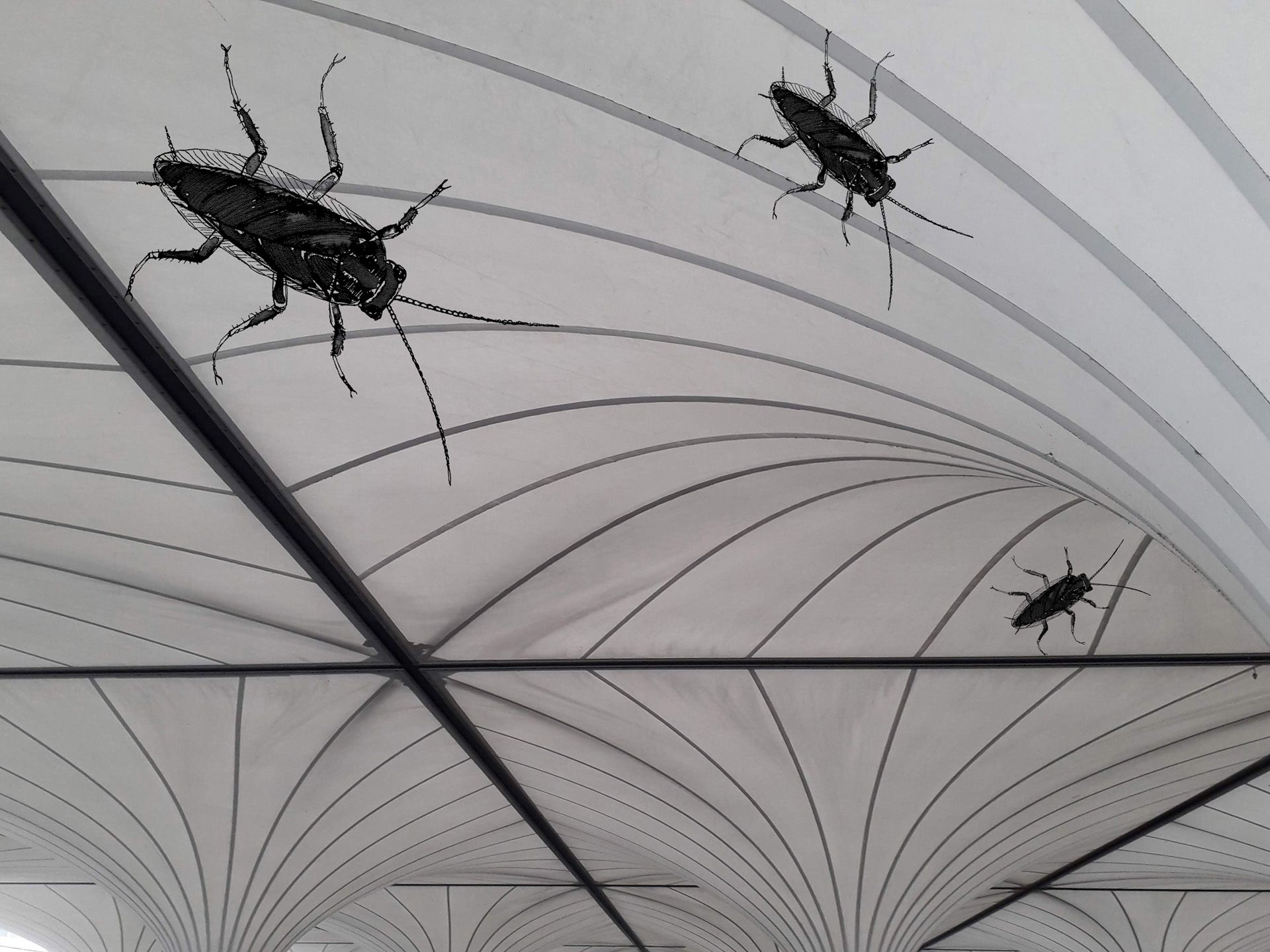 linz-flughafen-deutsche-schabe-compressor